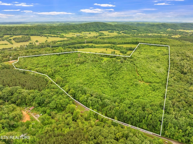 Grigsby Hollow Rd, Kingston, TN 37763 - photo 1