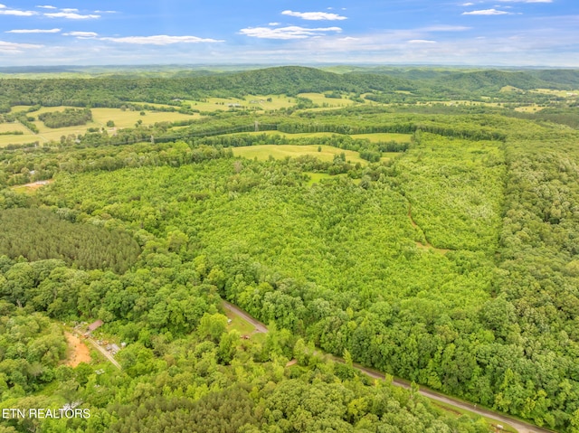 Grigsby Hollow Rd, Kingston, TN 37763 - photo 11
