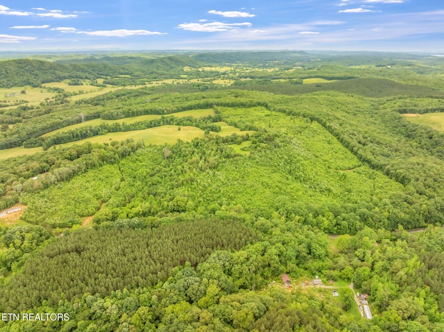 Grigsby Hollow Rd, Kingston, TN 37763 - photo 12