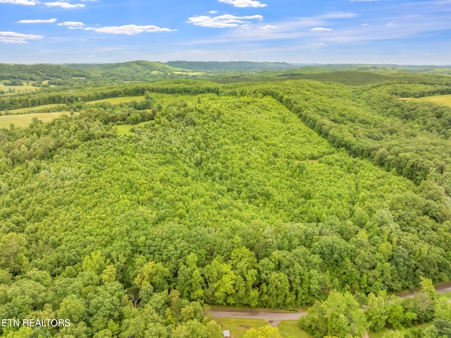 Grigsby Hollow Rd, Kingston, TN 37763 - photo 13