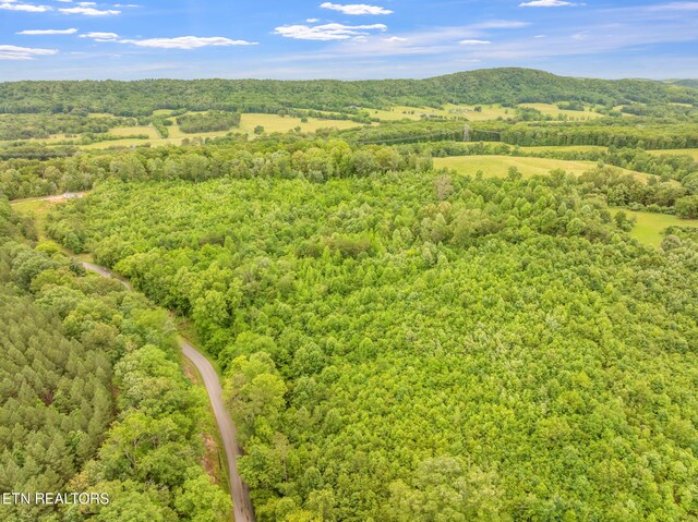 Grigsby Hollow Rd, Kingston, TN 37763 - photo 14