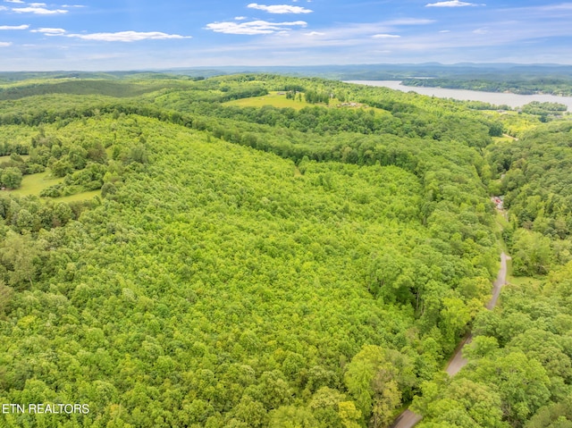 Grigsby Hollow Rd, Kingston, TN 37763 - photo 2