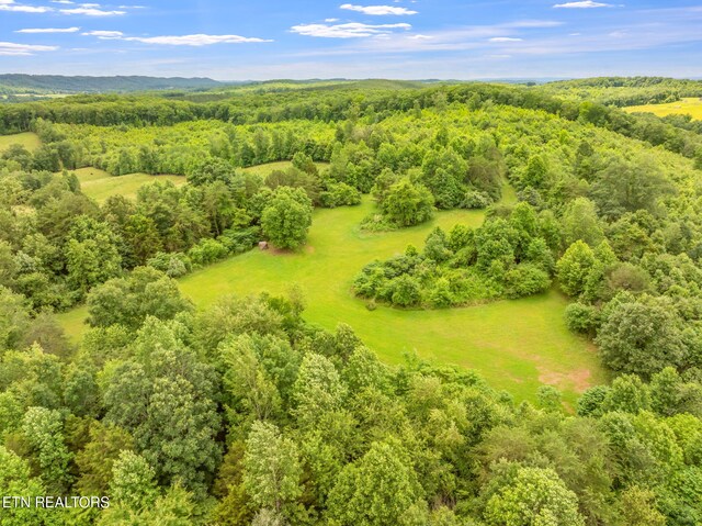 Grigsby Hollow Rd, Kingston, TN 37763 - photo 15