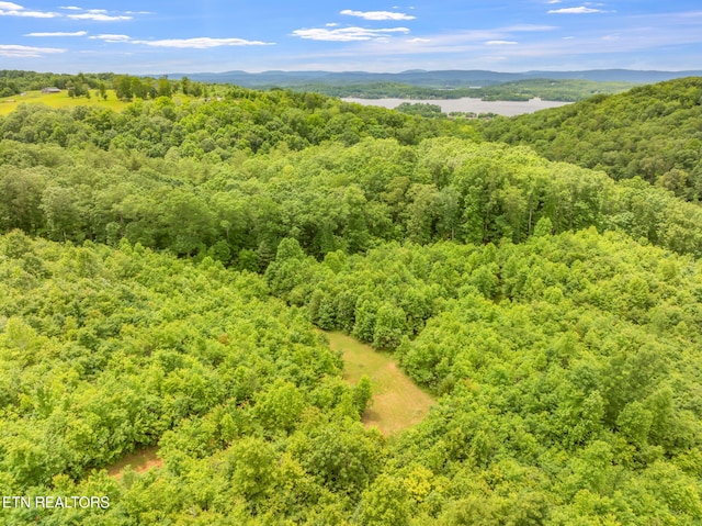 Grigsby Hollow Rd, Kingston, TN 37763 - photo 17