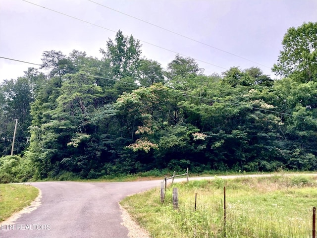 Happy Hollow Rd, Madisonville, TN 37354 - photo 3