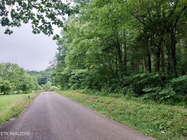 Happy Hollow Rd, Madisonville, TN 37354 - photo 4