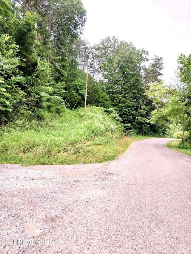 Happy Hollow Rd, Madisonville, TN 37354 - photo 5