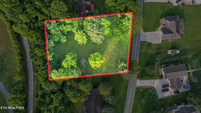 570 Anglers Cove Rd, Kingston, TN 37763 - photo 3