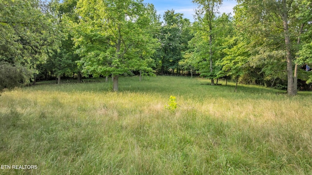 570 Anglers Cove Rd, Kingston, TN 37763 - photo 4