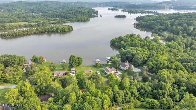 570 Anglers Cove Rd, Kingston, TN 37763 - photo 5