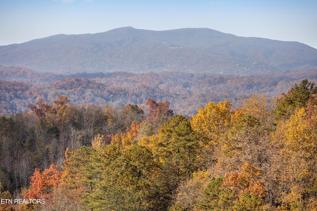 3710 Weber Rd Unit E107, Gatlinburg, TN 37738 - view of mountain backdrop with a forest