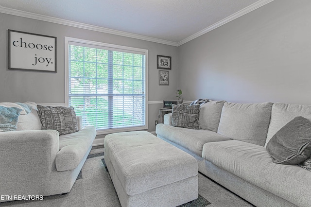 117 Maltese Ln, Oak Ridge, TN 37830 - living area with crown molding