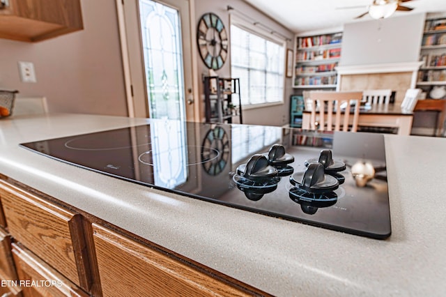 117 Maltese Ln, Oak Ridge, TN 37830 - kitchen view of ceiling fan and black electric stovetop