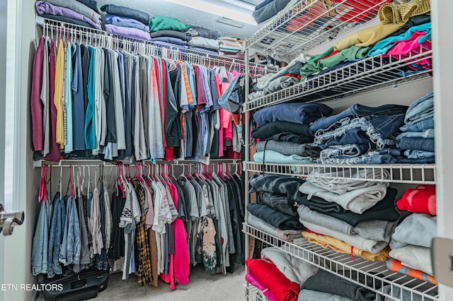 117 Maltese Ln, Oak Ridge, TN 37830 - spacious closet with carpet