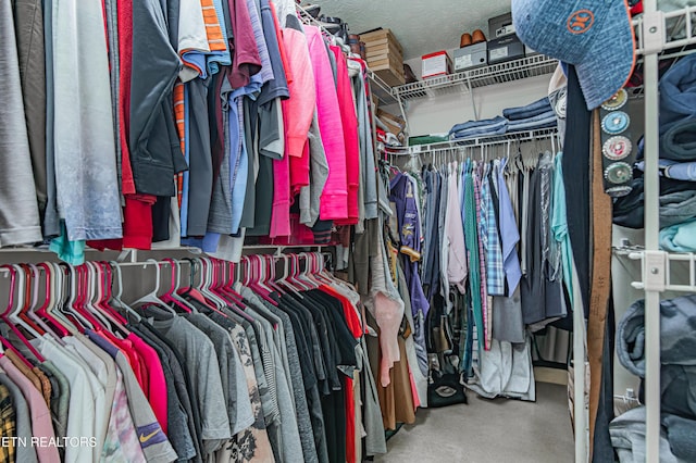 117 Maltese Ln, Oak Ridge, TN 37830 - view of walk in closet