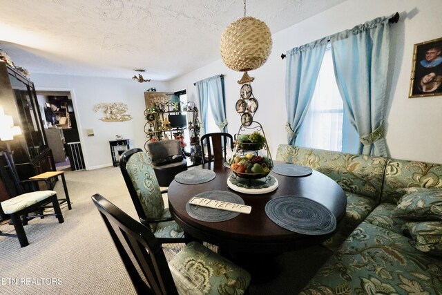 2645 Mountain View Dr, Morristown, TN 37814 - carpeted dining room featuring healthy amount of natural light and a textured ceiling
