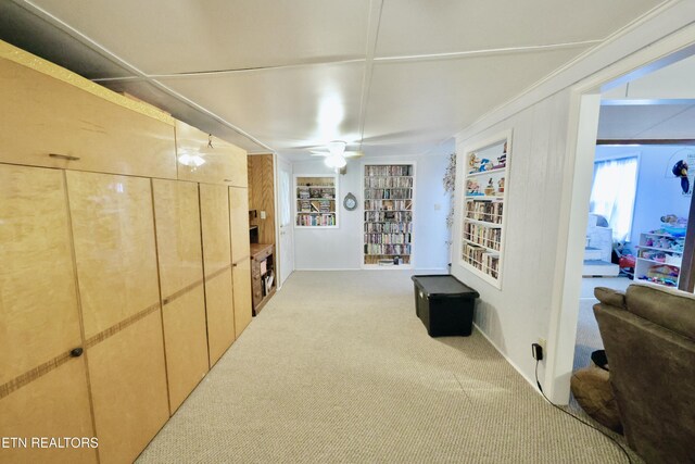 2645 Mountain View Dr, Morristown, TN 37814 - corridor featuring built in features and carpet
