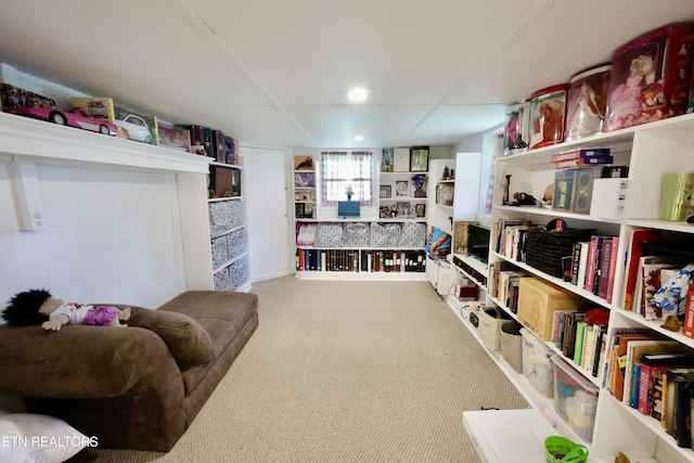 2645 Mountain View Dr, Morristown, TN 37814 - living area featuring carpet and recessed lighting