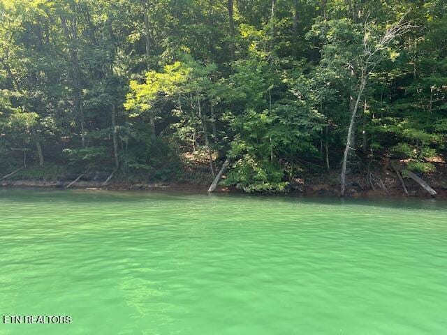 Cheri Ln, Caryville, TN 37714