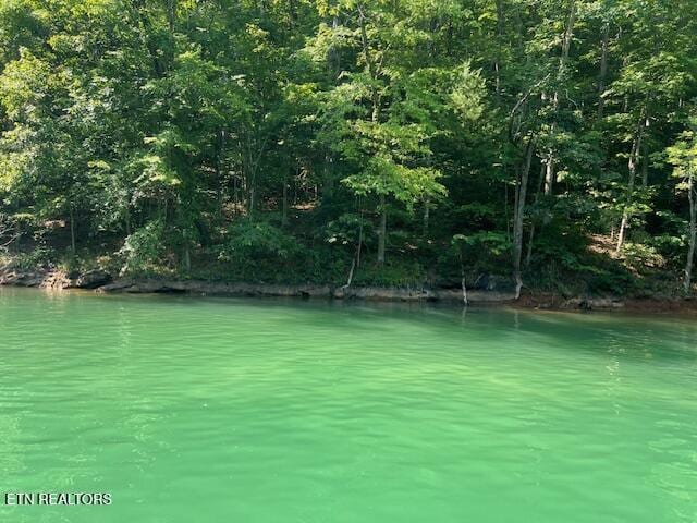 Cheri Ln, Caryville, TN 37714