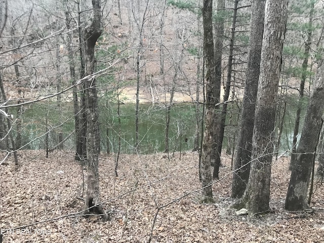 Cheri Ln, Caryville, TN 37714