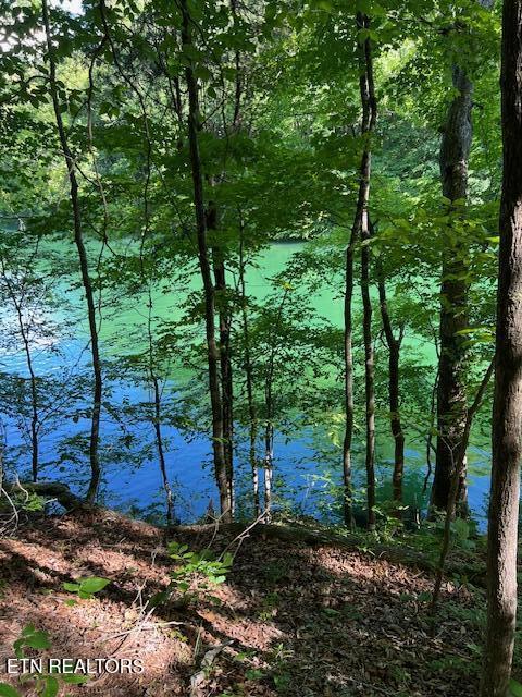 Cheri Ln, Caryville, TN 37714