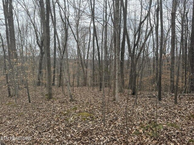 6.49AC Garrett Town Ln, Monroe, TN 38573 - photo 16