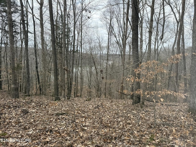 6.49AC Garrett Town Ln, Monroe, TN 38573 - photo 18