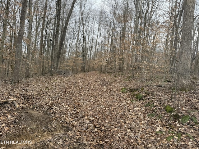 6.49AC Garrett Town Ln, Monroe, TN 38573 - photo 21