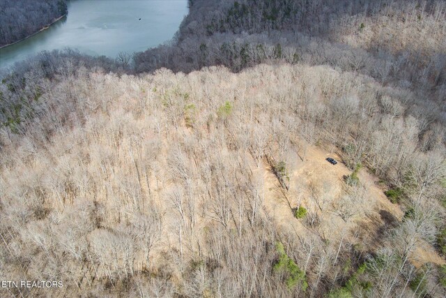 6.49AC Garrett Town Ln, Monroe, TN 38573 - photo 26