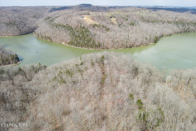 6.49AC Garrett Town Ln, Monroe, TN 38573 - photo 6
