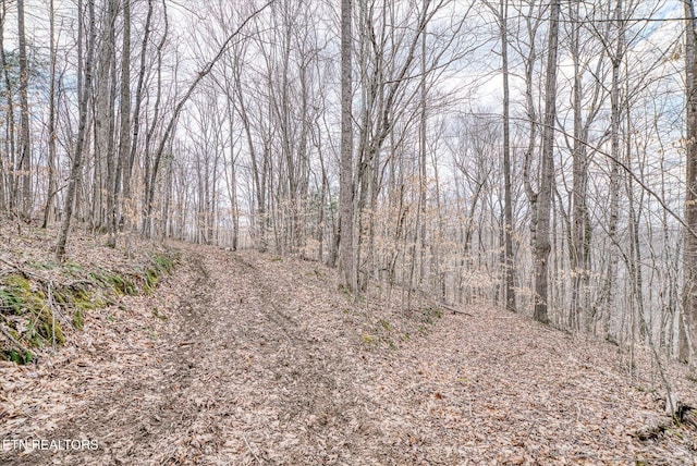 6.49AC Garrett Town Ln, Monroe, TN 38573 - photo 10