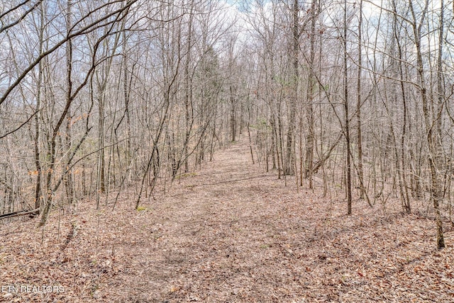 6.49AC Garrett Town Ln, Monroe, TN 38573 - photo 11