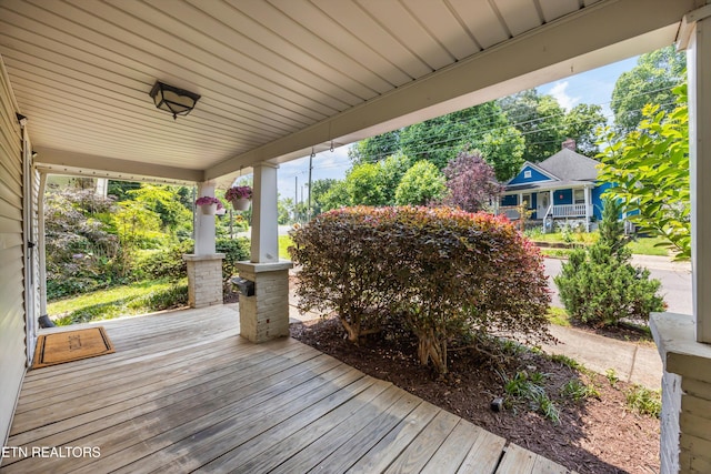 1440 N 4th Ave, Knoxville, TN 37917 - photo 4