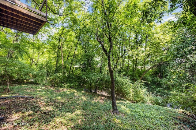 1440 N 4th Ave, Knoxville, TN 37917 - photo 27