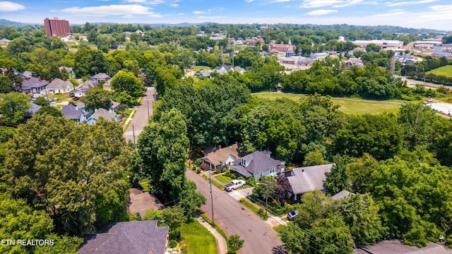 1440 N 4th Ave, Knoxville, TN 37917 - photo 29