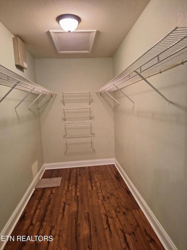7739 Applecross Rd, Corryton, TN 37721 - walk in closet featuring dark wood-style flooring and attic access