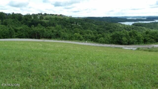 LOT40C Swan Ridge Rd, Hilham, TN 38568