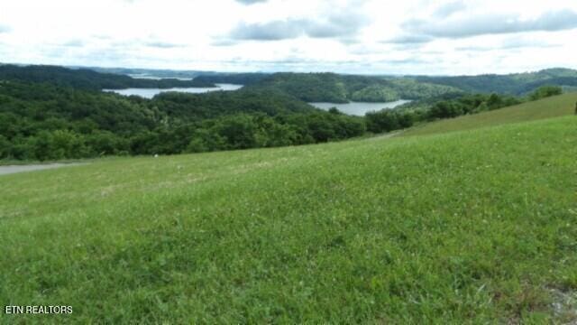 LOT40C Swan Ridge Rd, Hilham, TN 38568