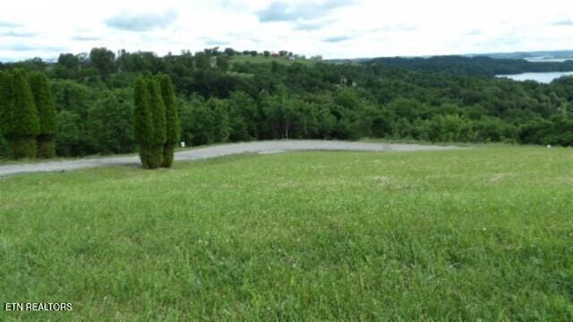 LOT40C Swan Ridge Rd, Hilham, TN 38568