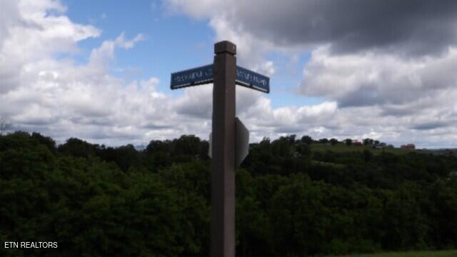 LOT40C Swan Ridge Rd, Hilham, TN 38568