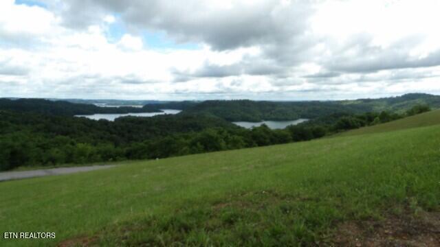 LOT40C Swan Ridge Rd, Hilham, TN 38568