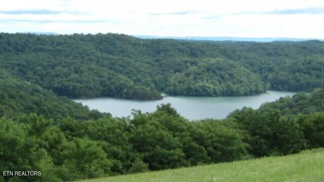 LOT40C Swan Ridge Rd, Hilham, TN 38568