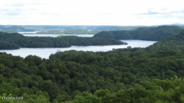 LOT40C Swan Ridge Rd, Hilham, TN 38568
