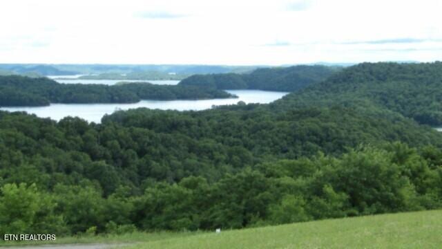 LOT40C Swan Ridge Rd, Hilham, TN 38568