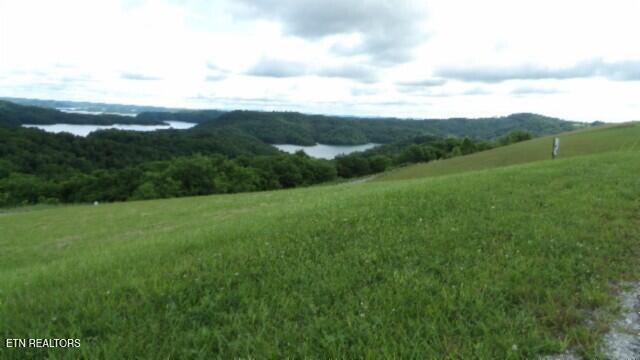 LOT40C Swan Ridge Rd, Hilham, TN 38568