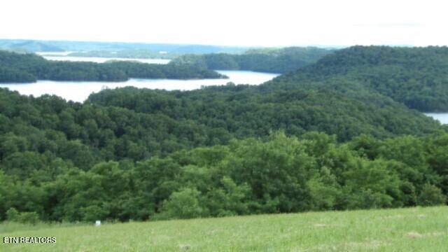 LOT40C Swan Ridge Rd, Hilham, TN 38568