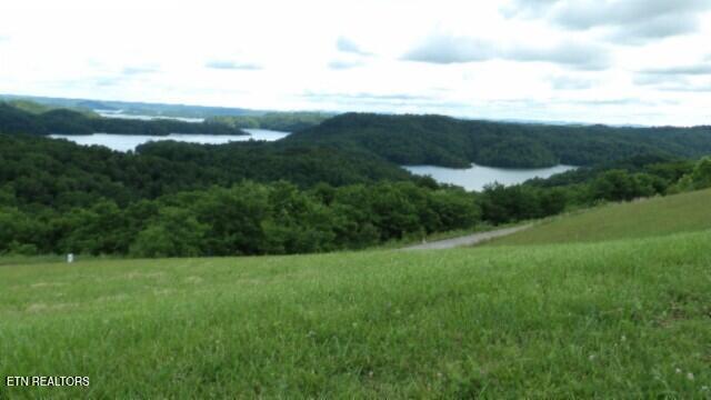LOT40C Swan Ridge Rd, Hilham, TN 38568