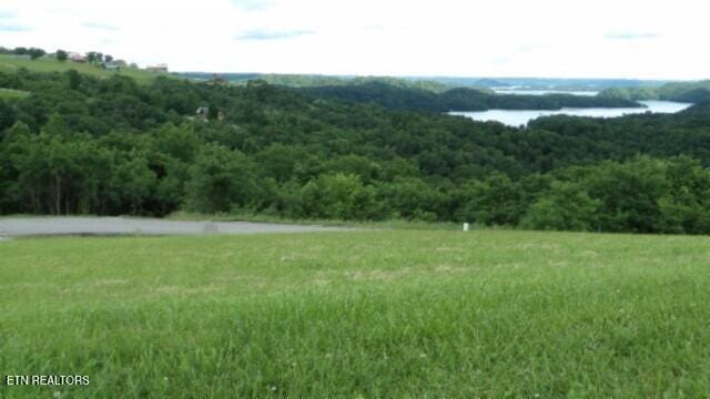 LOT40C Swan Ridge Rd, Hilham, TN 38568