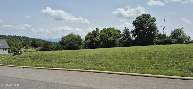 0 Fairway Dr Unit 17, Dandridge, TN 37725